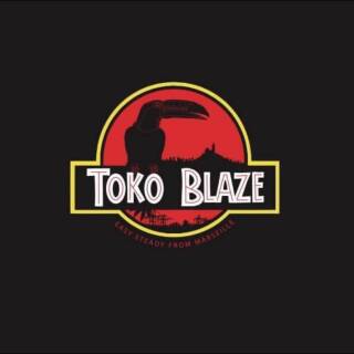 Toko blaze  - Photo