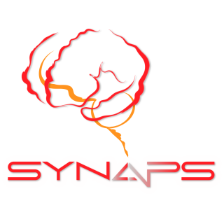 Photo Synaps