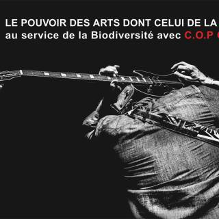 L'association musicale C.O.P Gironde - Photo